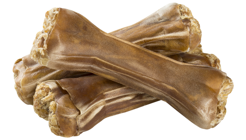 Kauknochen (Pferd)