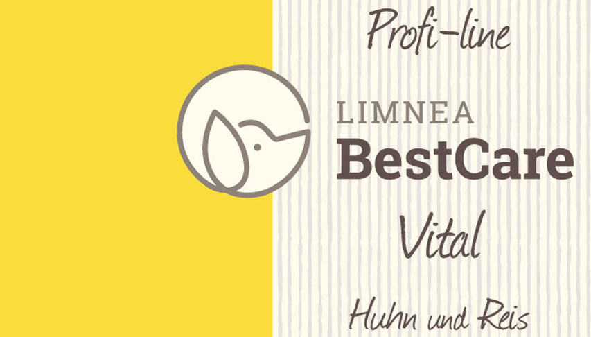 Vital Huhn und Reis