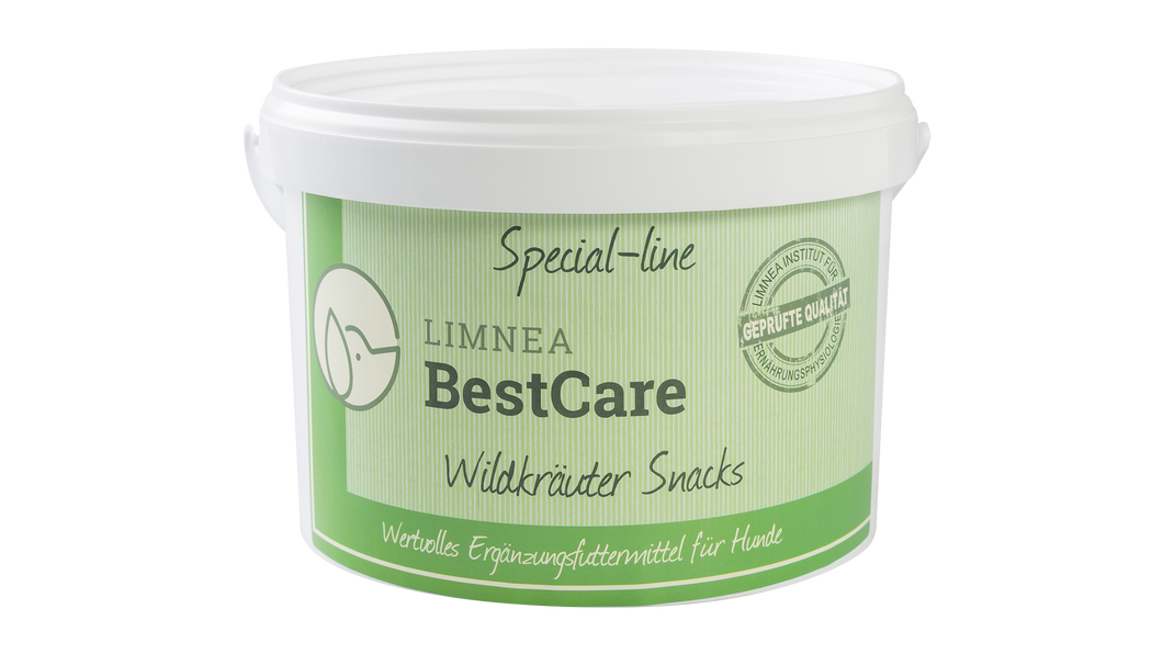 Wildkräuter Snacks