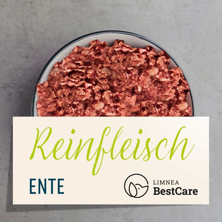 Reinfleisch Ente