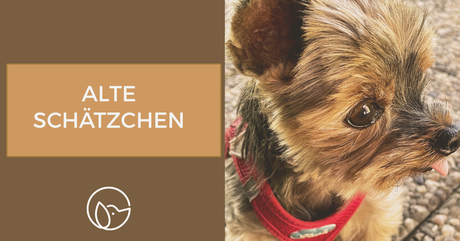 Wissensvermittlung: Alte Schätzchen!
