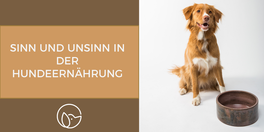 Wissensvermittlung: Sinn und Unsinn in der Hundeernährung!