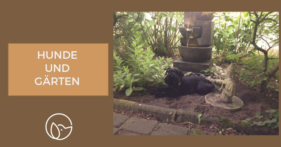 Wissensvermittlung: Hunde und Gärten