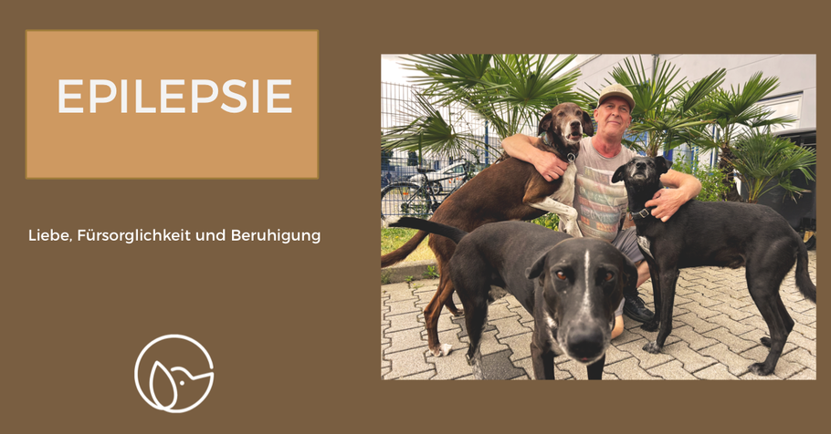 Wissensvermittlung: Epilepsie