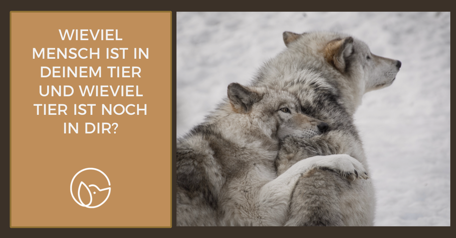 Wissensvermittlung: Wieviel Mensch ist in Deinem Tier und wieviel Tier ist noch in Dir?