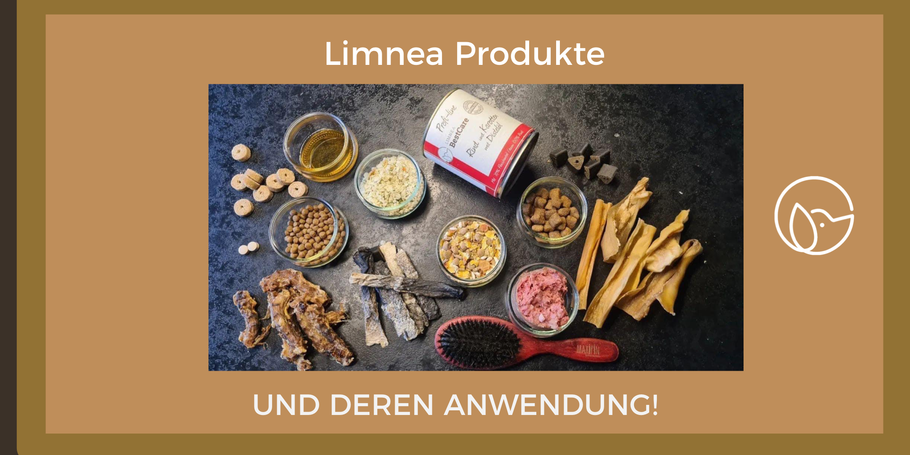 Limnea Produkte und deren Anwendung