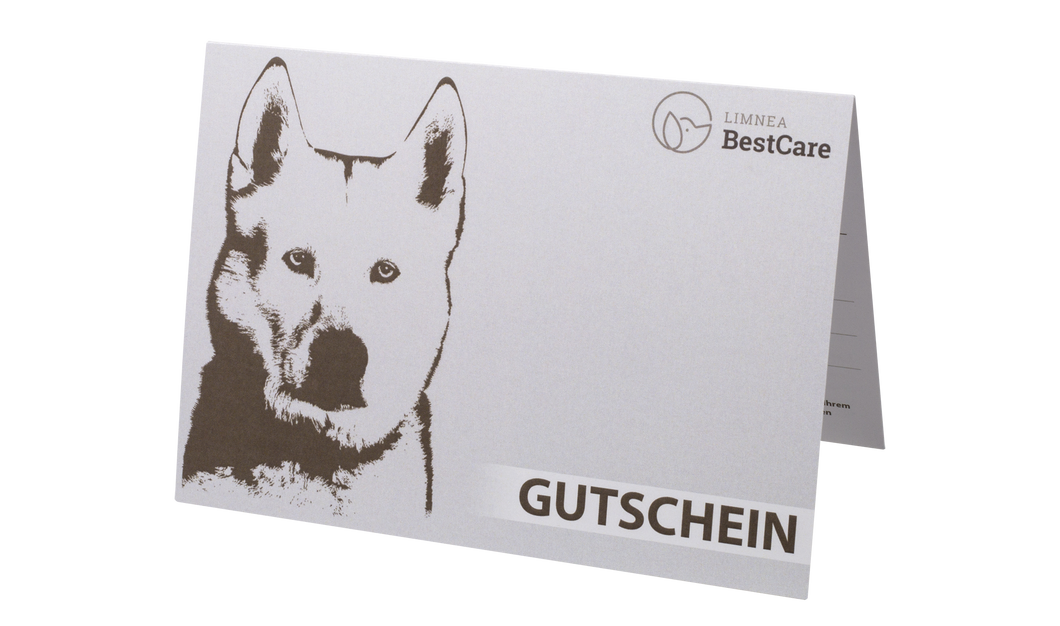 Gutschein