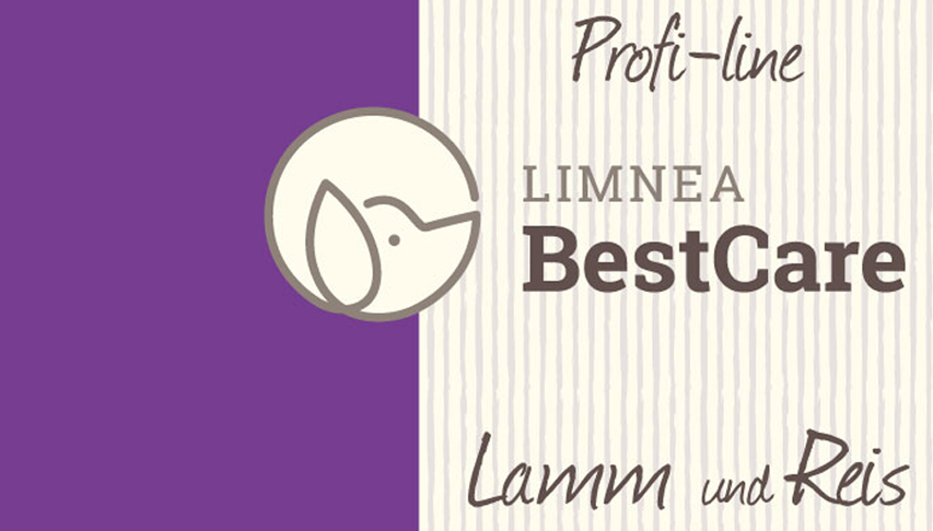 Lamm und Reis